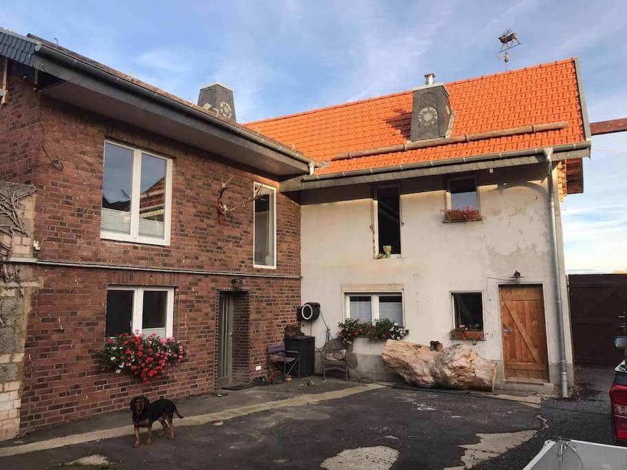 Ferienwohnung Felinenhof Weilerswist Extérieur photo